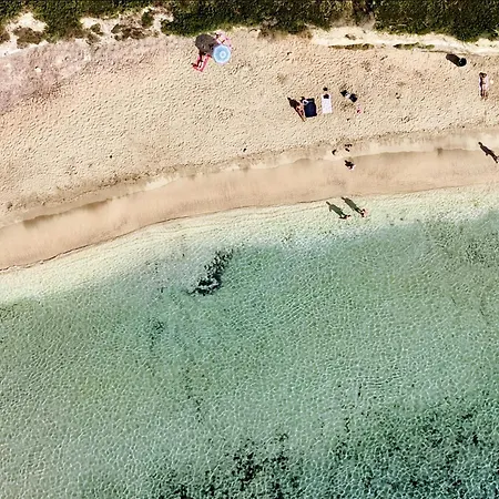 Alexandros Villa *